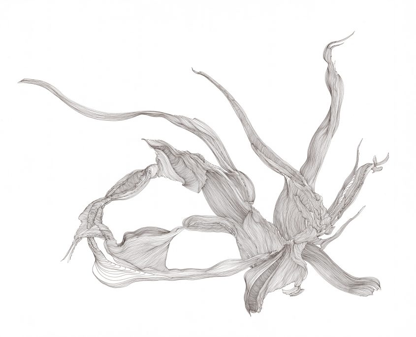 o-t-_majonglage_50x65_