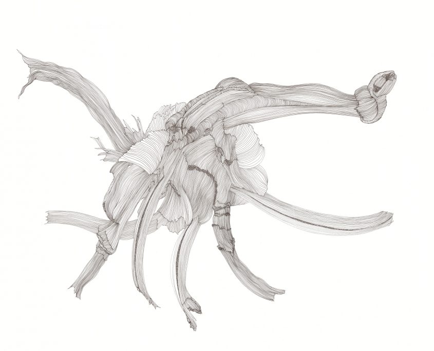 o-t-_star_60x84_